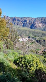 GC-Mirador Las Tirajanas (Tunte) 2026-17.jpg